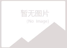 江西山柳工程有限公司